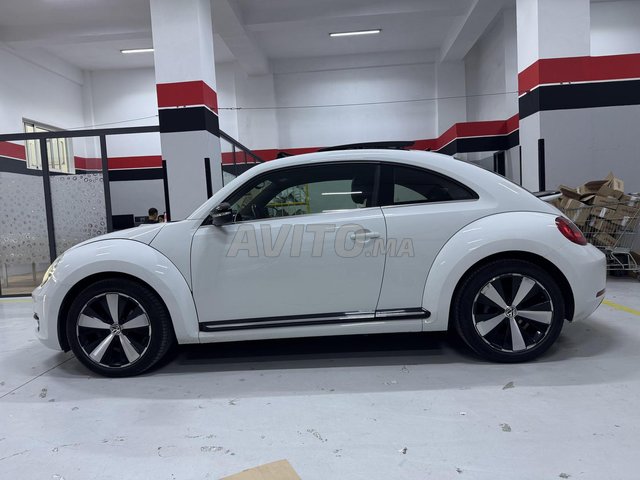 Volkswagen COCCINELLE occasion Diesel Modèle 