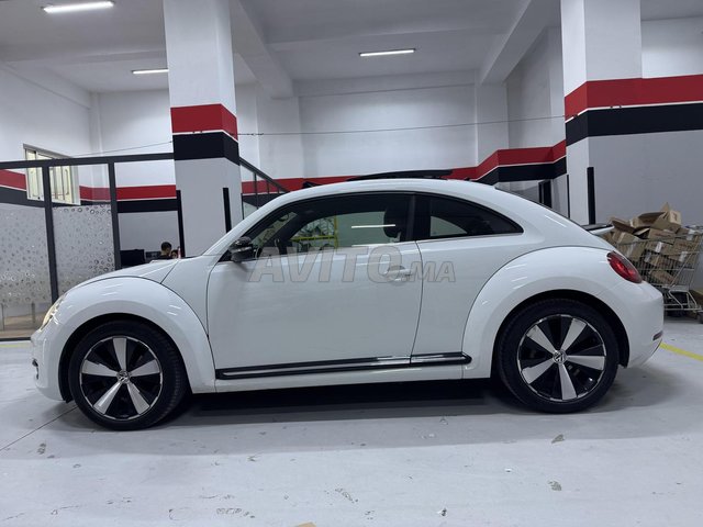 Volkswagen COCCINELLE occasion Diesel Modèle 