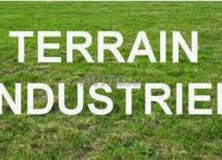 أرض 1 هكتار و 2 هكتار 3 هكتار 7 هكتار صناعية