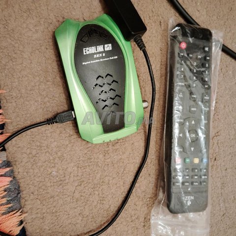 IP TV echolink