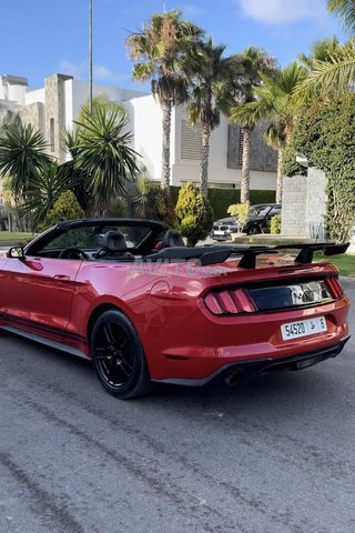 Ford mustang_cabriolet occasion Essence Modèle 