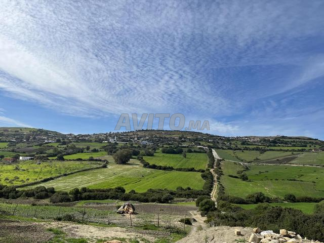 Terrain de 15900 titré, maison, piscine semi fini - 2