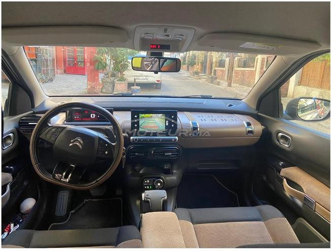 C4 cactus automatique
