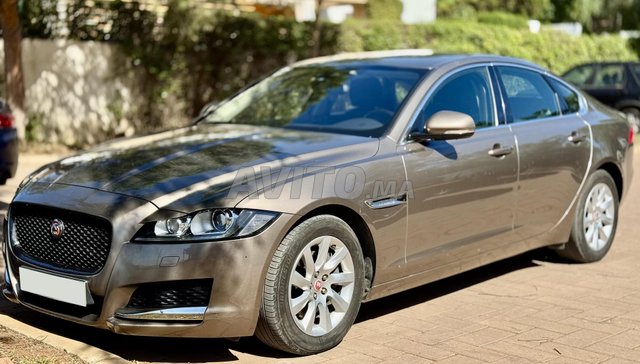 Jaguar XF occasion Diesel Modèle 