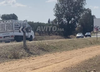 الف متر على الطريق الوطنية الرباط