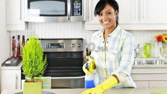 Agence Femme de ménage cuisinière nounou 