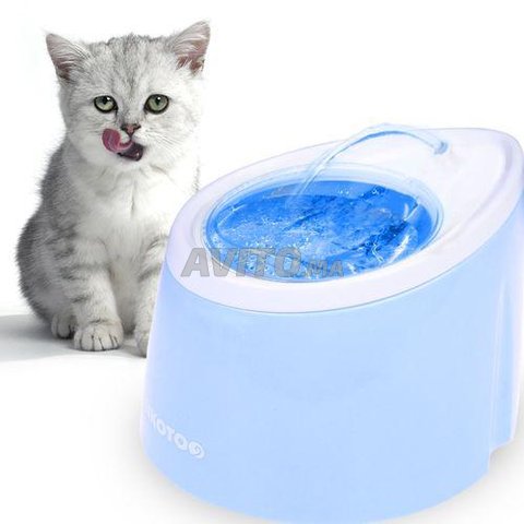 DIIL Distributeur d'eau pour animaux de compagnie