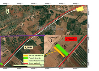 Terrain de 1271M² à Vendre El ksibba