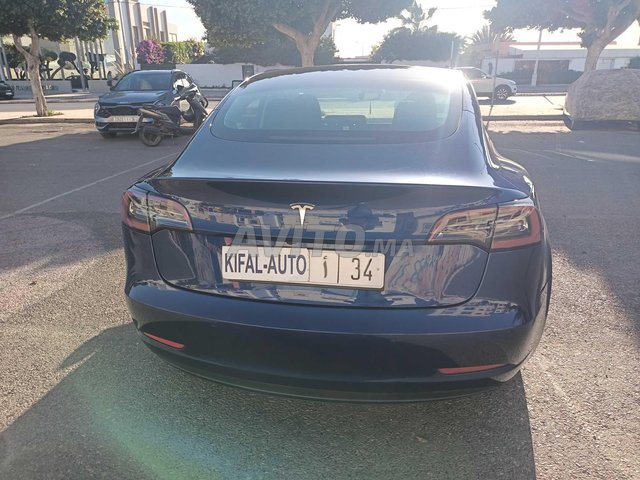 Tesla Model 3 occasion Electrique Modèle 