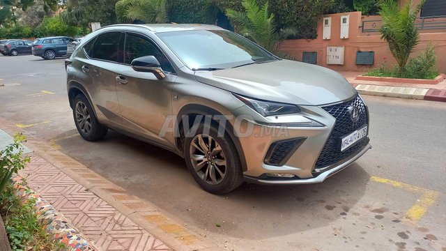 Lexus nx occasion Hybride Modèle 