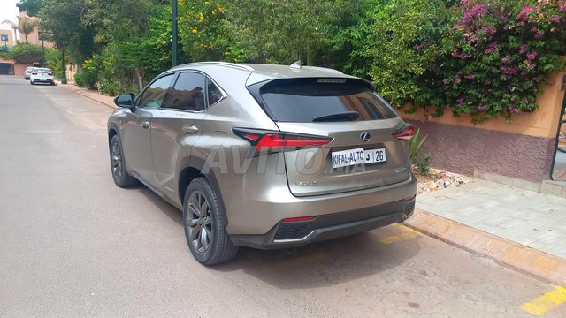 Lexus nx occasion Hybride Modèle 