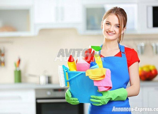 nounou, garde malade, femme de ménage