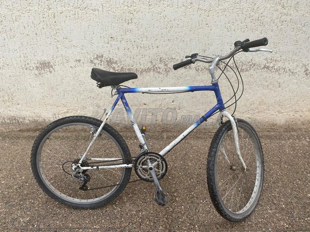 Affaire Vélo adulte 