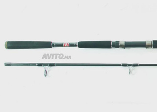 Canne spinning carbone Ryoshi 2m70 action 20 60