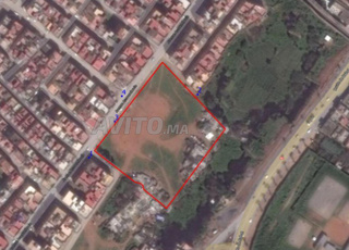 Ter 1ha Rplus2 R.kénitra salé