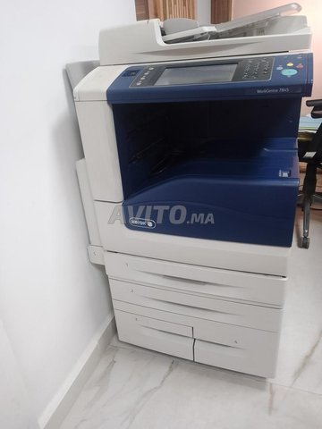 Imprimante XEROX