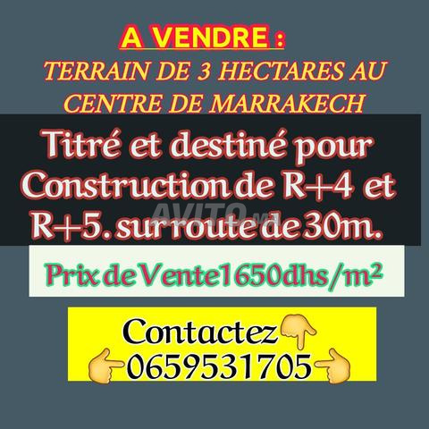 Terrain de 3 Ha pour Rplus4 et 5 à Marrakech