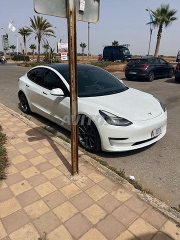 Tesla Model 3 occasion Electrique Modèle 