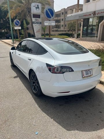 Tesla Model 3 occasion Electrique Modèle 