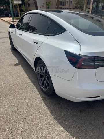 Tesla Model 3 occasion Electrique Modèle 