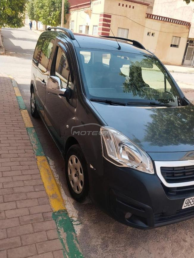 peugeot  tepee