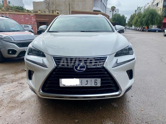 Lexus nx occasion Hybride Modèle 