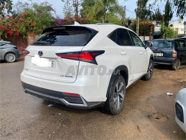 Lexus nx occasion Hybride Modèle 