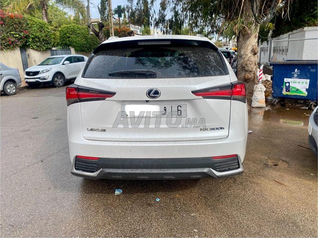 Lexus nx occasion Hybride Modèle 