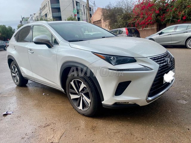 Lexus nx occasion Hybride Modèle 