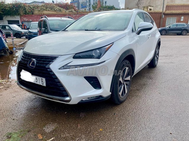 Lexus nx occasion Hybride Modèle 