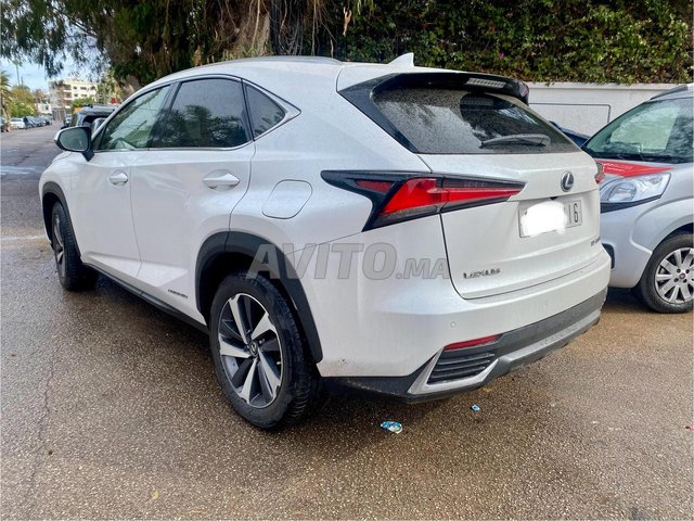 Lexus nx occasion Hybride Modèle 