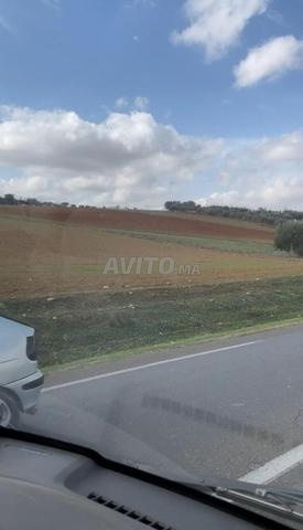 ارض 1100متر على طريق وطنية2كم من مدينة