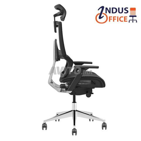 Chaise Ergonomique avec Soutien Lombaire Dynamique