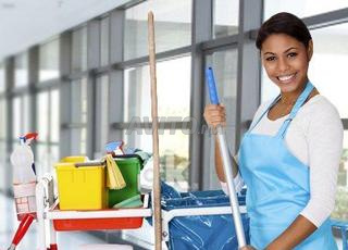 نساء التنظيف ذوات الخبرة