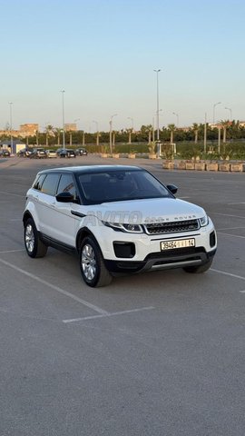 Land Rover Range Rover Evoque occasion Diesel Modèle 