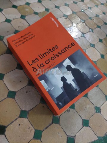 Les limites à la croissance - Meadows