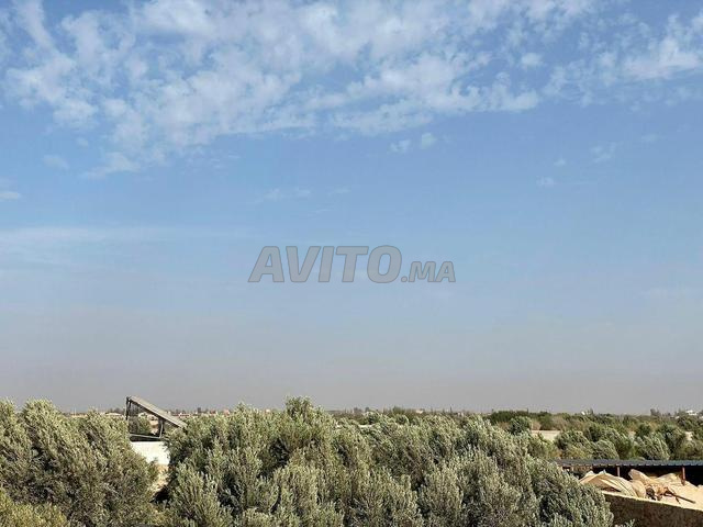 خمسة هكتارات ونصف اسن إقليم تارودانت جماعة الدير 