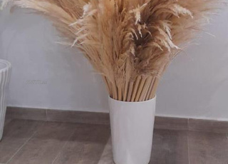 بيع بالجملة والتقسيط للزهور والأواني 