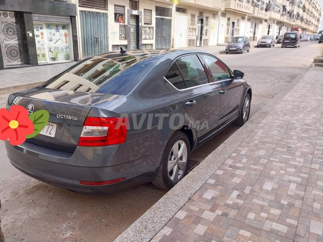 Skoda Octavia occasion Diesel Modèle 