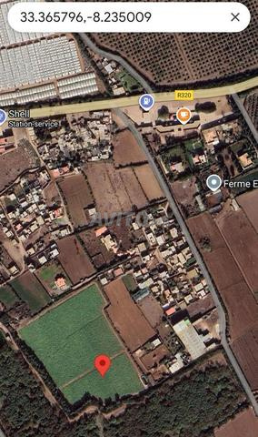 Terrain accessible à Sidi Bounaim à 1h de Casa - 2