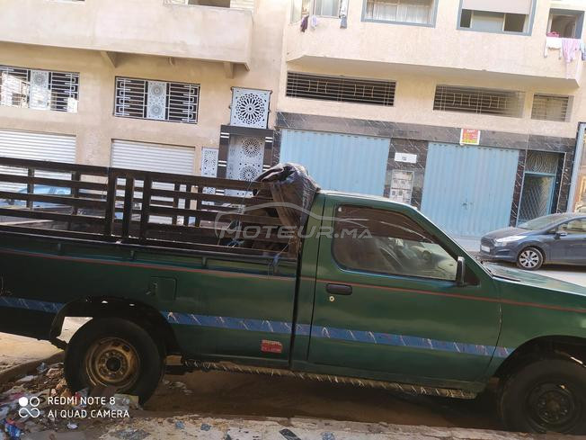 بيكوب نقية