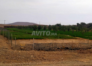terrain Villa 19km Marrakech bon afir 