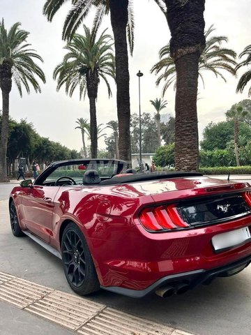 Ford mustang_cabriolet occasion Essence Modèle 