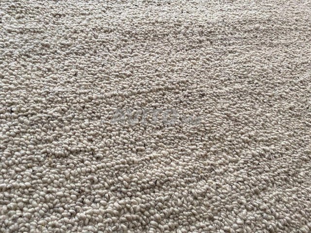 Tapis neuf en laine bouclée 