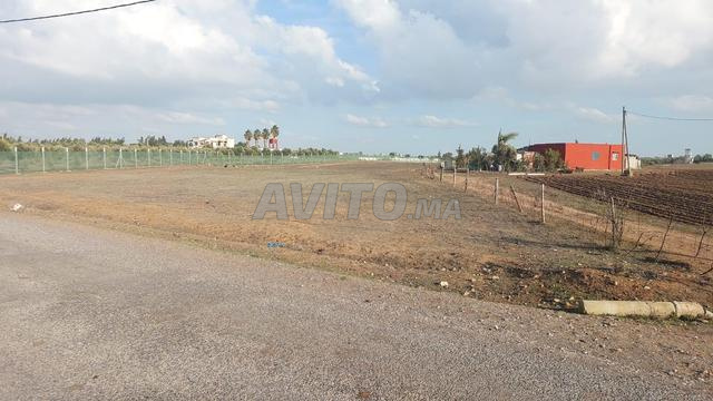 Ter titre agr 11200m2 kamouni