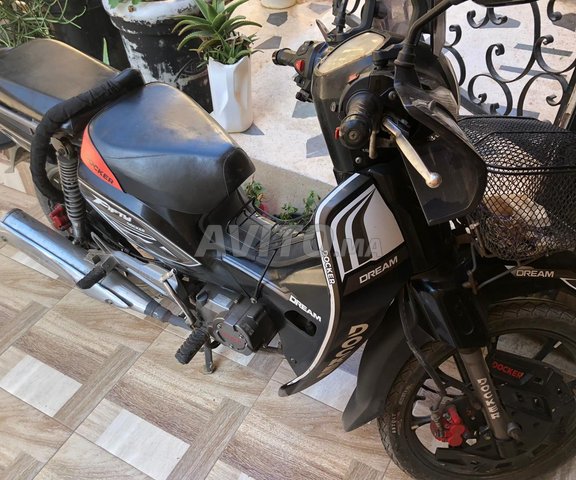 moto docker fifty 2023