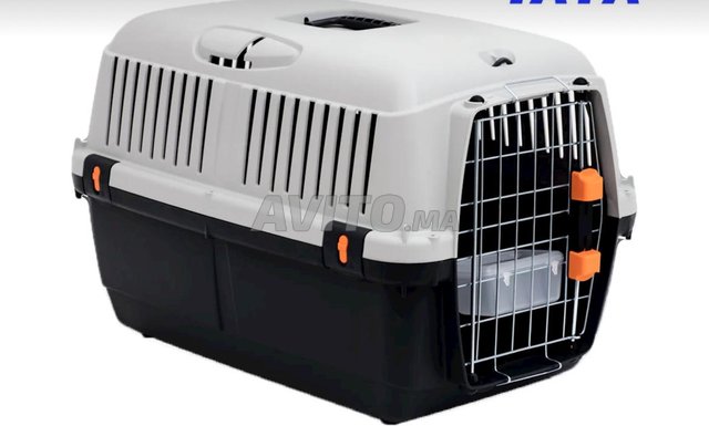 Cage de transport chien 