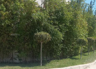 Maisons villa à vendre