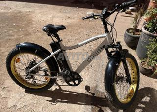 vélo électrique en très bonne état 