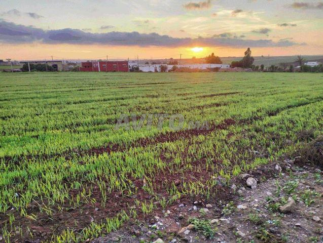 Hectare et 500 m titre avec puits et maison